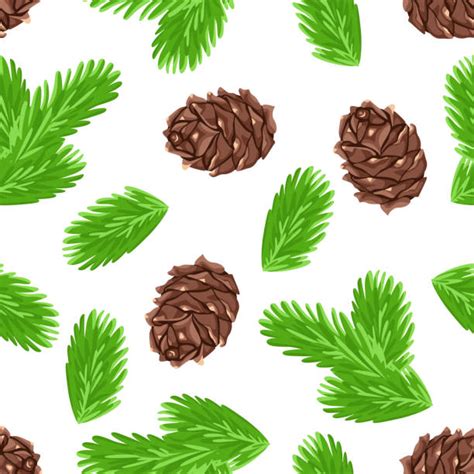 4,600+ Pinecone Cartoons Illustrations, Royalty.